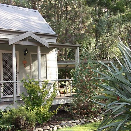 Shady Brook Cottages هاريتفيل المظهر الخارجي الصورة