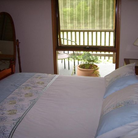 Shady Brook Cottages هاريتفيل المظهر الخارجي الصورة