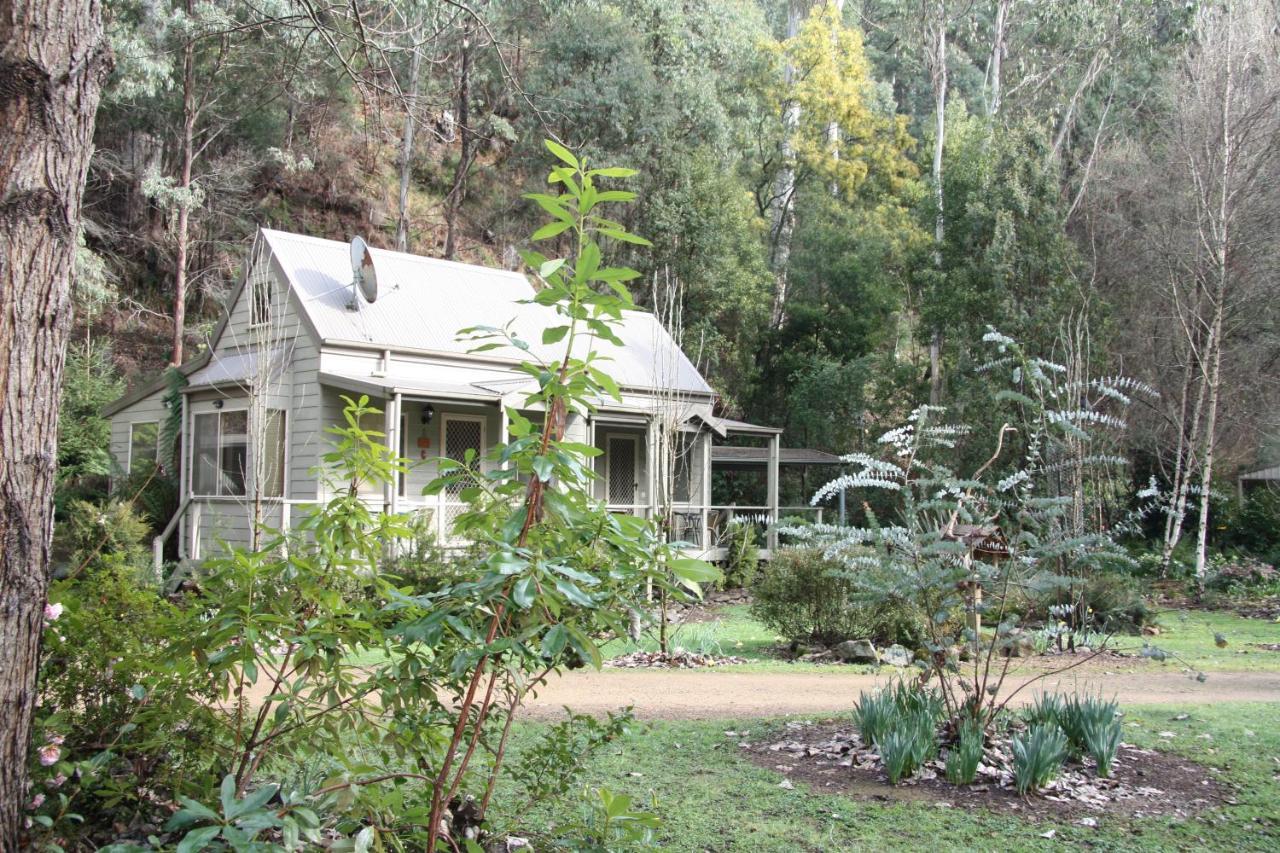 Shady Brook Cottages هاريتفيل المظهر الخارجي الصورة
