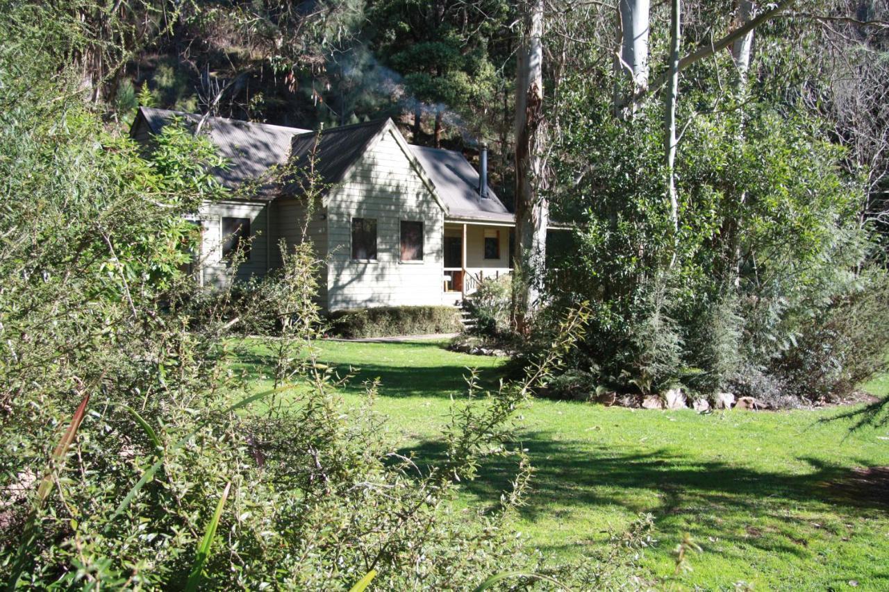 Shady Brook Cottages هاريتفيل المظهر الخارجي الصورة