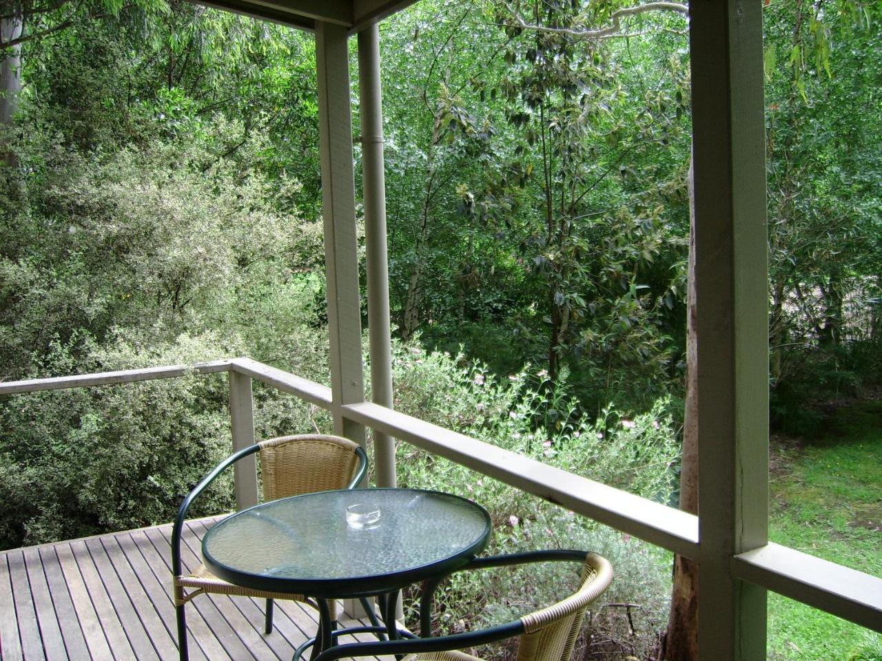 Shady Brook Cottages هاريتفيل المظهر الخارجي الصورة