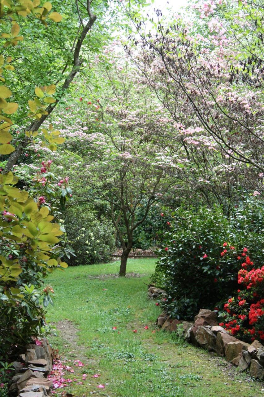 Shady Brook Cottages هاريتفيل المظهر الخارجي الصورة