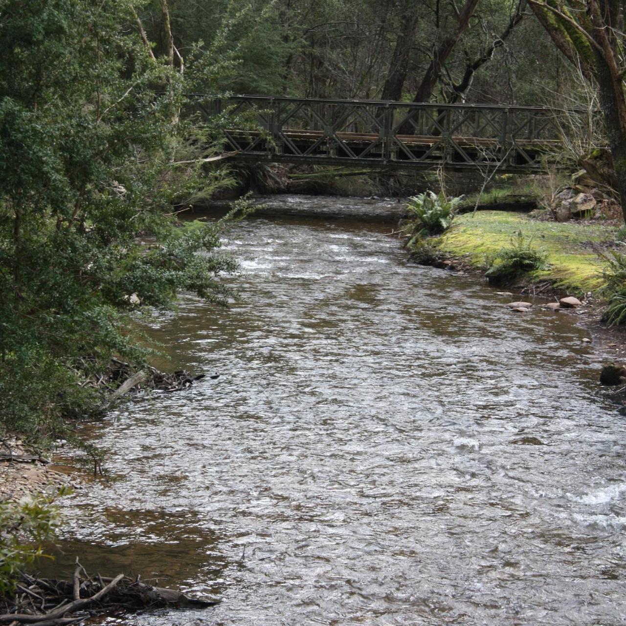 Shady Brook Cottages هاريتفيل المظهر الخارجي الصورة