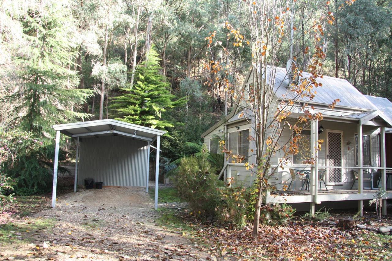 Shady Brook Cottages هاريتفيل المظهر الخارجي الصورة
