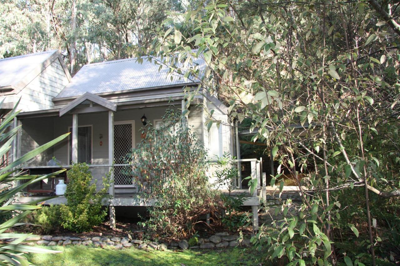 Shady Brook Cottages هاريتفيل المظهر الخارجي الصورة