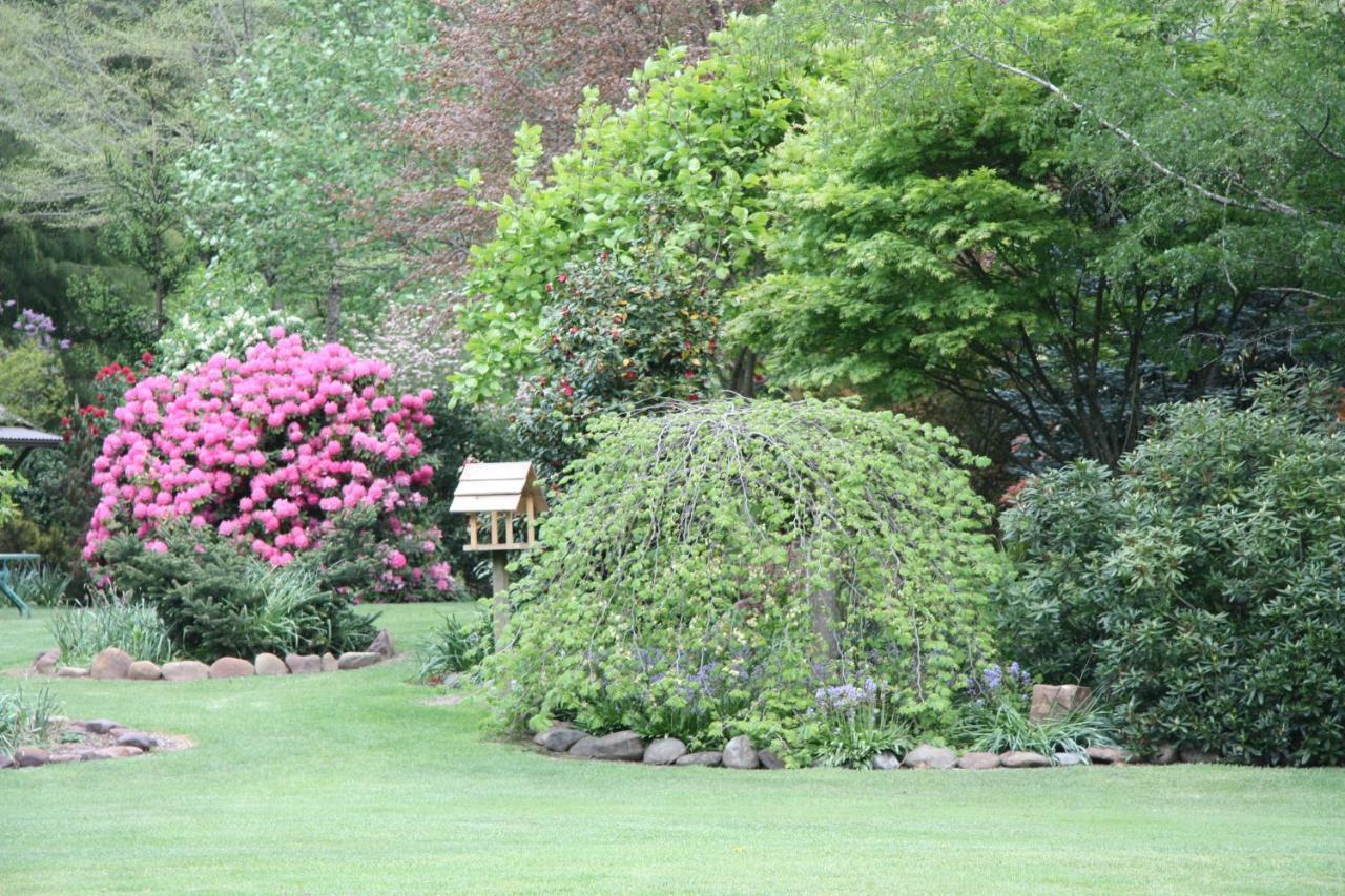 Shady Brook Cottages هاريتفيل المظهر الخارجي الصورة
