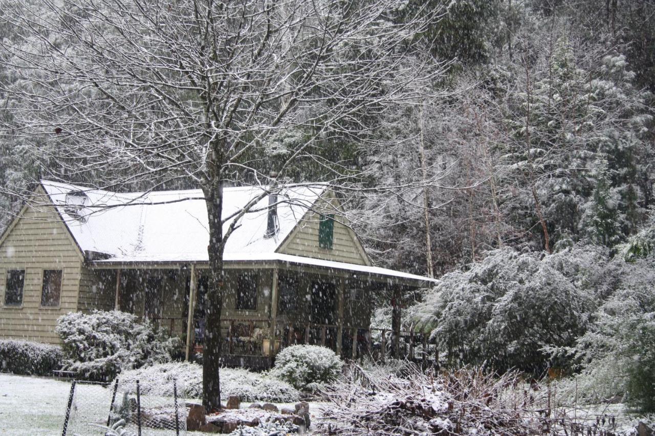 Shady Brook Cottages هاريتفيل المظهر الخارجي الصورة