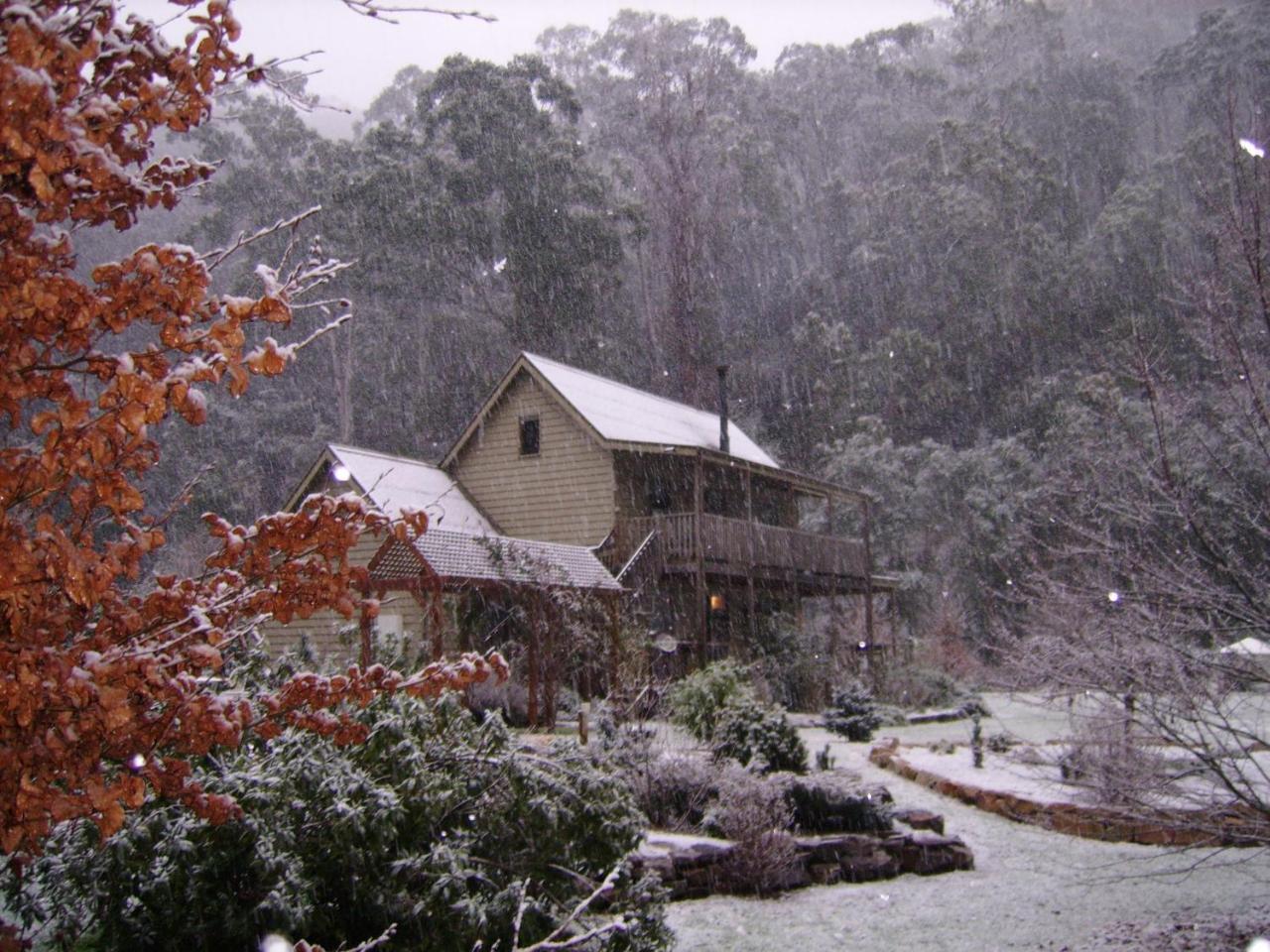 Shady Brook Cottages هاريتفيل المظهر الخارجي الصورة