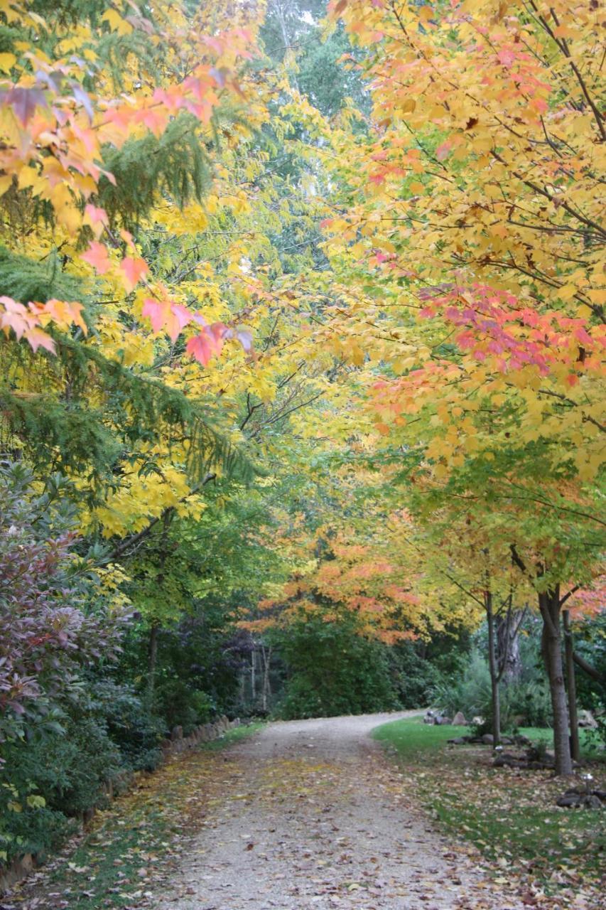 Shady Brook Cottages هاريتفيل المظهر الخارجي الصورة