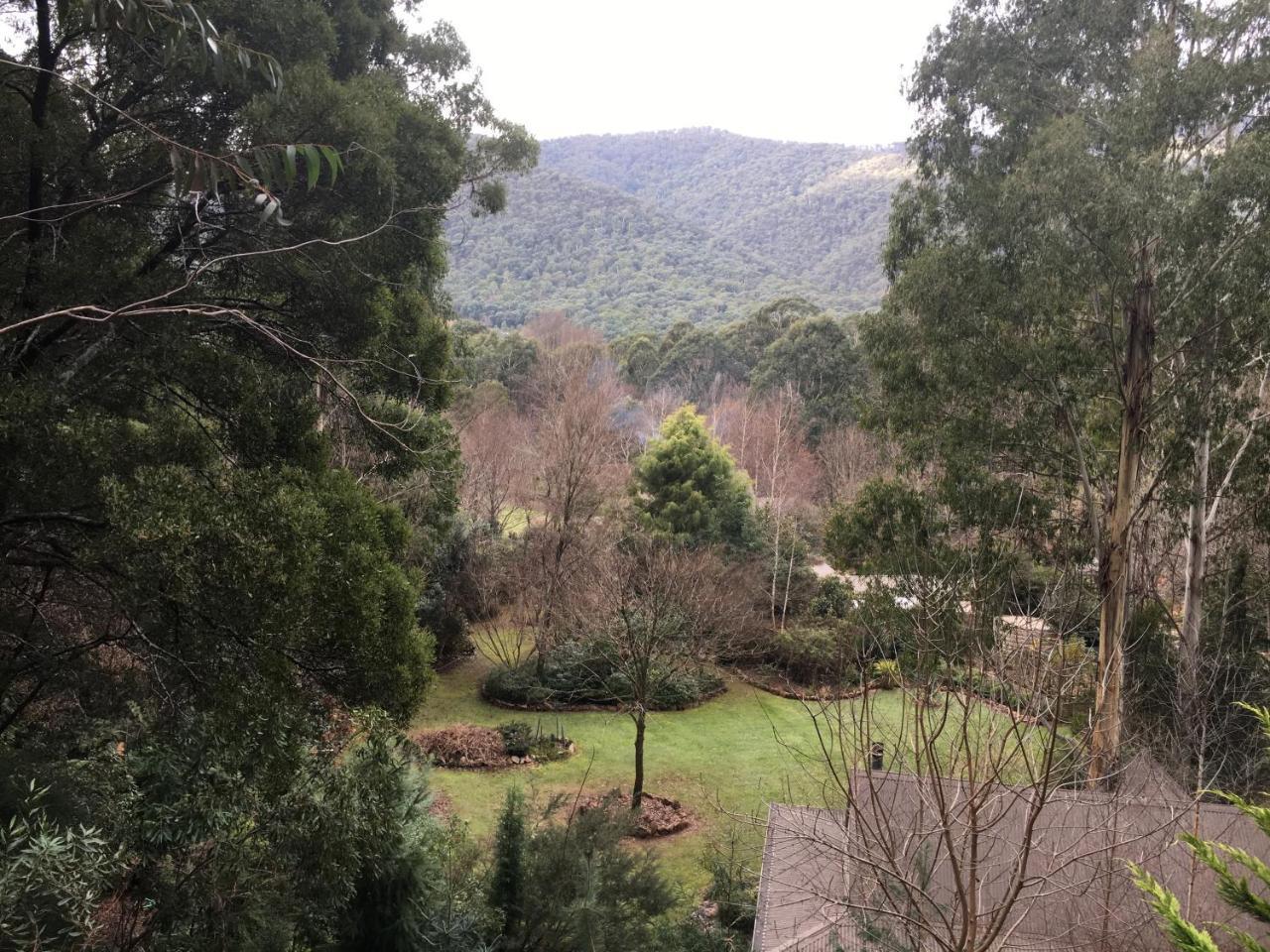 Shady Brook Cottages هاريتفيل المظهر الخارجي الصورة