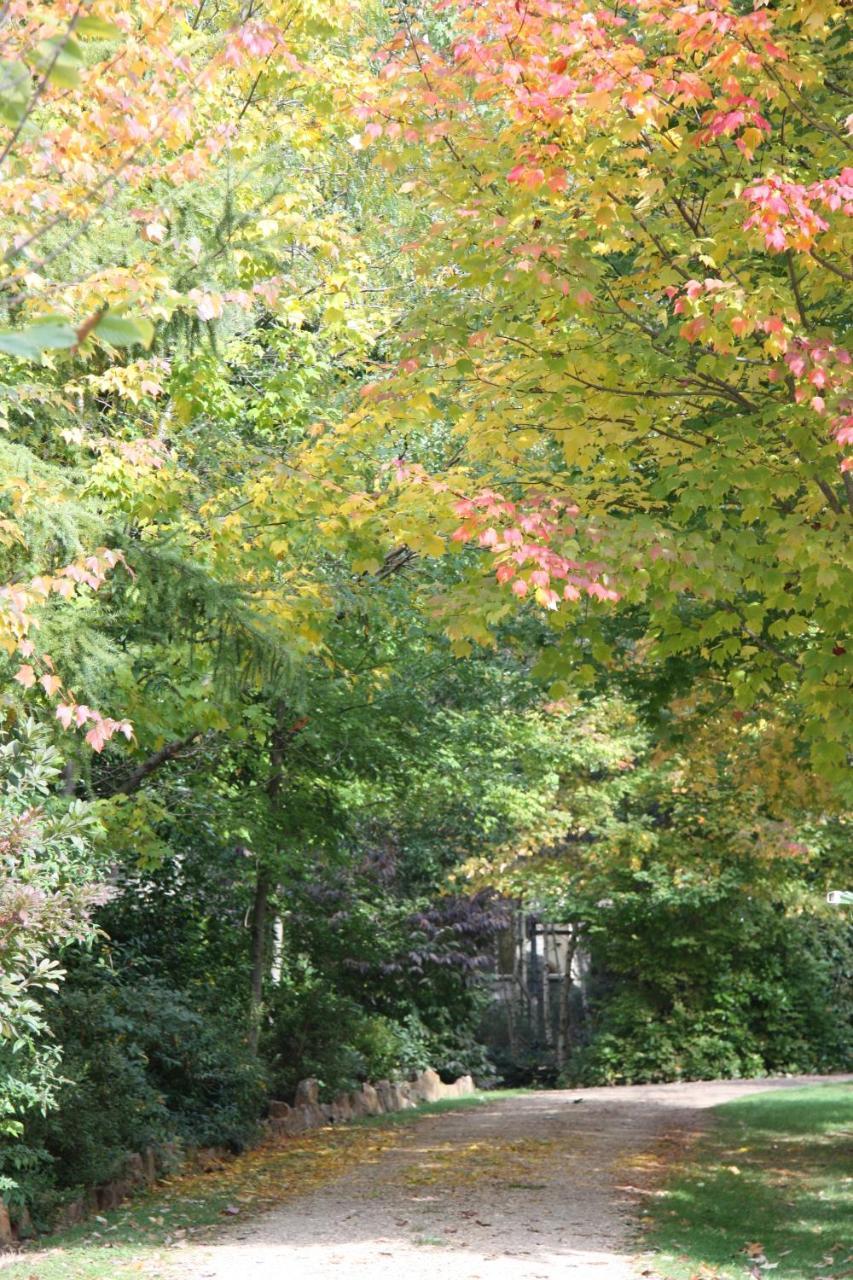 Shady Brook Cottages هاريتفيل المظهر الخارجي الصورة