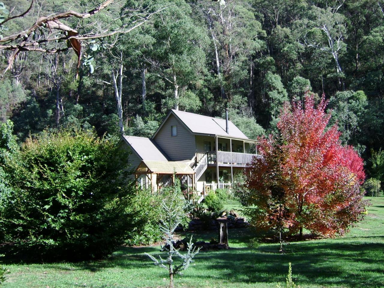 Shady Brook Cottages هاريتفيل المظهر الخارجي الصورة