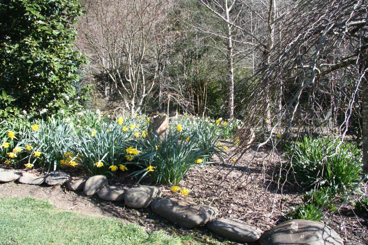 Shady Brook Cottages هاريتفيل المظهر الخارجي الصورة