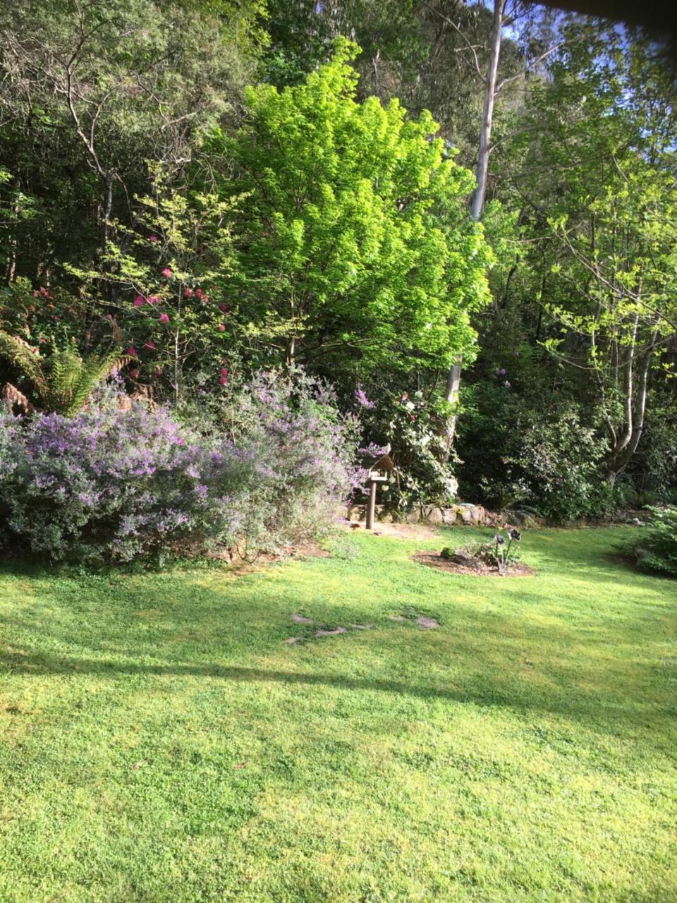 Shady Brook Cottages هاريتفيل المظهر الخارجي الصورة